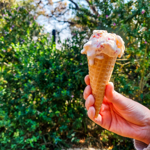 Koejawelkaaskoekroomys